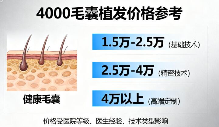 4000个毛囊植发的价格：万元到十万元的“发量博弈”