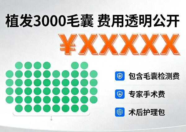 碧莲盛植发3000毛囊费用全解析：2026年最新价格与避坑指南