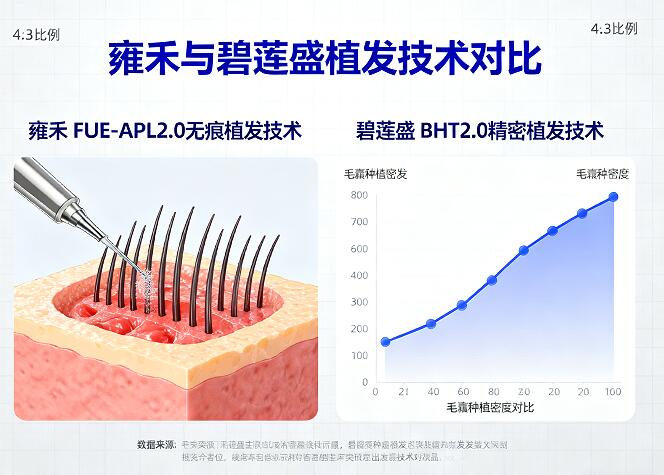 雍禾正规还是碧莲盛正规?查一查就知道!