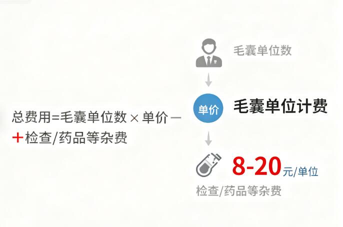 2026年植发价格全解析:从毛囊单价到总费用,一文读懂如何精准预算