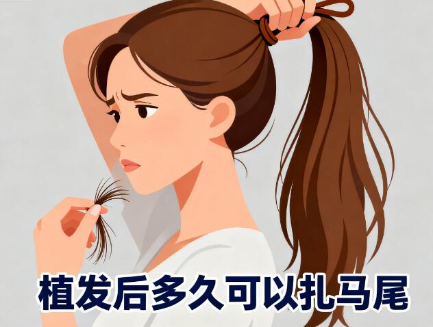 植发后多久能扎马尾?高马尾“隐形杀手”真相大揭秘!