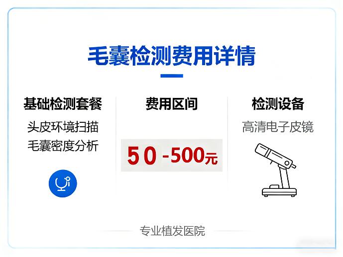毛囊检测费用全解析：一文读懂价格差异与选择指南