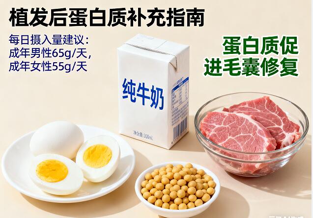 植发后蛋白质补充全攻略:5类高蛋白食物+3大黄金时段,加速毛囊存活!