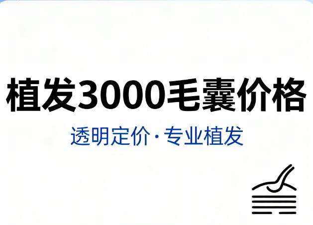 植发3000个毛囊要多少钱