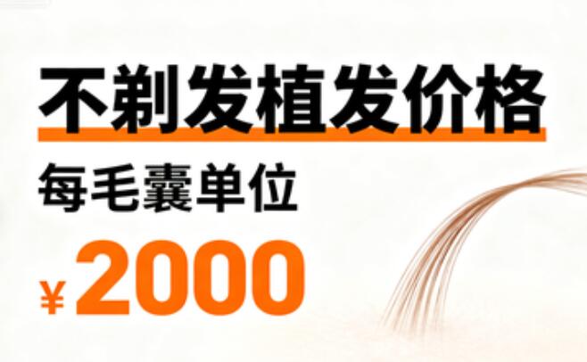 2026不剃发植发每毛囊单位价格：10-50元背后的技术博弈