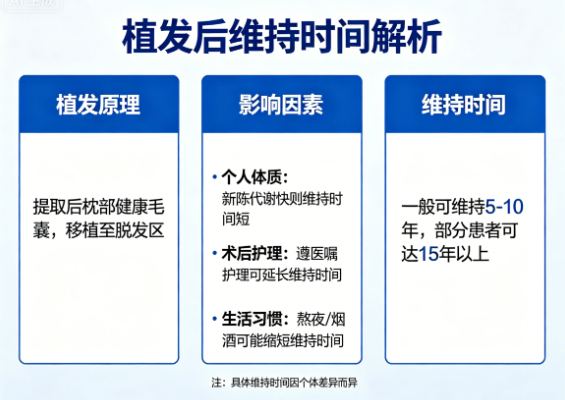 植发后可以维持几年，影响植发维持时间的因素