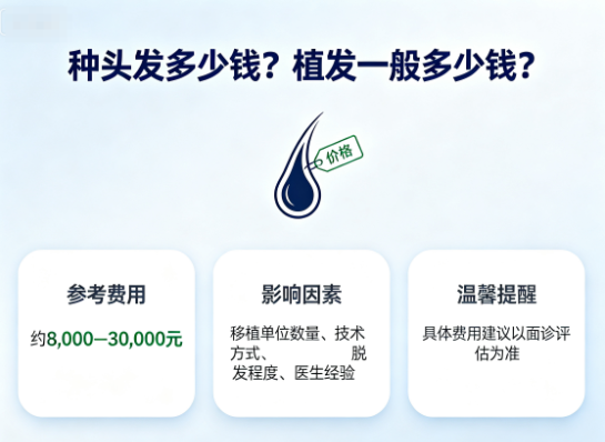 种头发多少钱植发一般多少钱